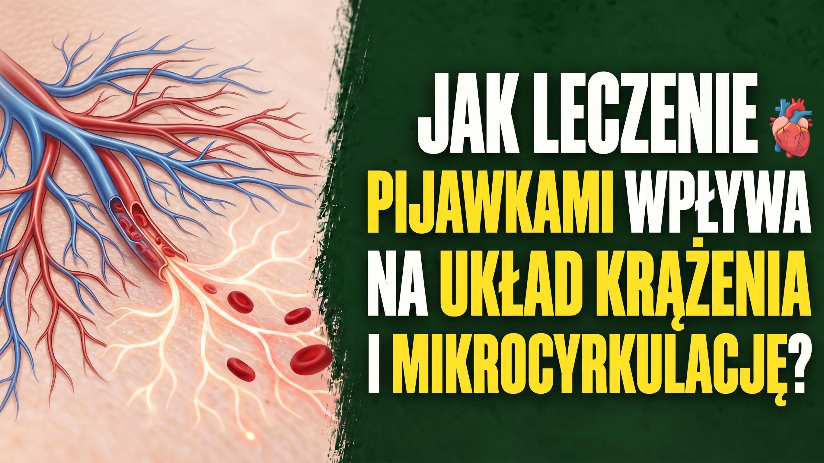 Jak leczenie pijawkami wpływa na układ krążenia i mikrocyrkulację?